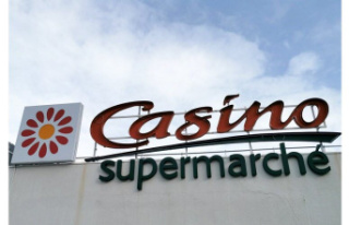 Distribution. AMF investigators visited Casino's...