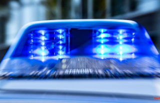 Mecklenburg-Western Pomerania: Young man hits children...