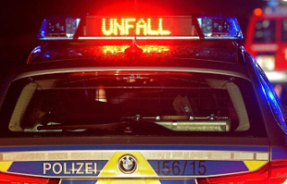 North Rhine-Westphalia: Collision with a patrol car:...
