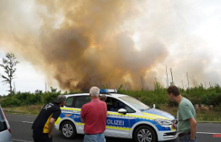 Detonations due to explosive ordnance: forest in Brandenburg...