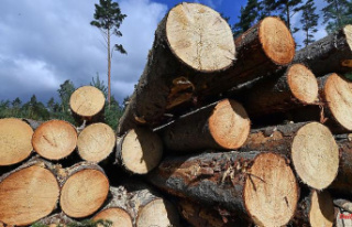 Thuringia: Wood in Thuringia in high demand: rising...