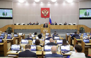Concern for Kremlin critics: Duma tightens law against...