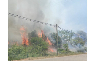 Drome. Fire in Chateauneuf-du-Rhone: 50 firefighters...
