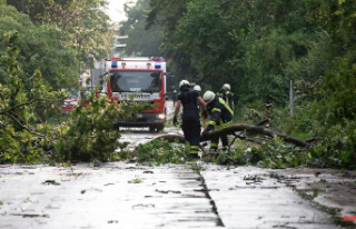 North Rhine-Westphalia: Heavy thunderstorms: trees...