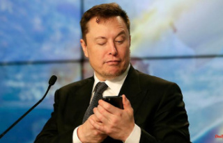 More employees in a year: Musk: Number of Tesla employees...