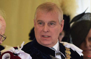 Participation in knight parade: Prince Andrew is pushing...