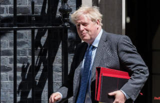 Criticism is "very moderate": Johnson downplays...