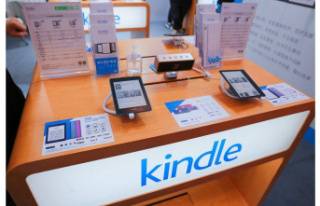 Companies. Kindle, Amazon's digital bookshop,...