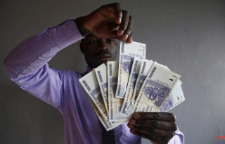 Zimbabwe reintroduces dollar: central bank raises...