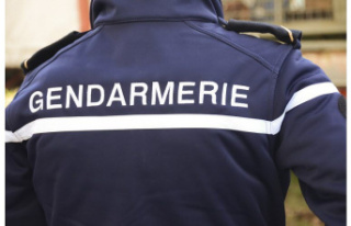 Haute-Savoie. Two cases solved by Gendarmes: brawl...