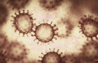 Concern about spread: polio viruses discovered in...
