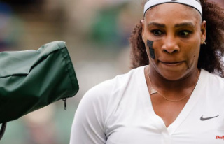 Crime, primal scream, despair: Serena Williams'...