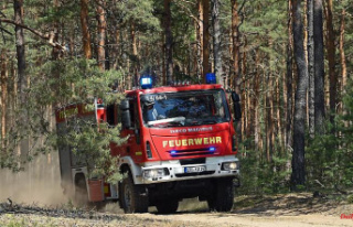 Saxony: Bergepanzer helps with forest fire in Gohrischheide