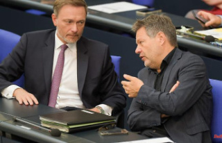 Stricter rules for corporations: Lindner supports...
