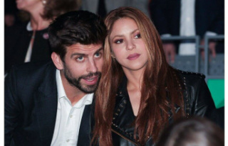 People. Shakira and Gerard Pique, footballer, announce...