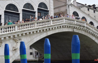 Entry and surveillance: Venice wants to be more than...