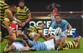 Rugby / Top14. Dam: Perpignan continues to win after...