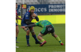 Rugby. Former FCG Mickael Capelli is about to leave...