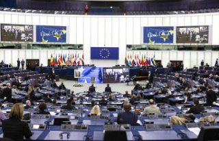 The European Parliament approves reform of the carbon...