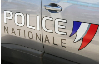 Eastern Pyrenees Murder near Perpignan: The victim's...