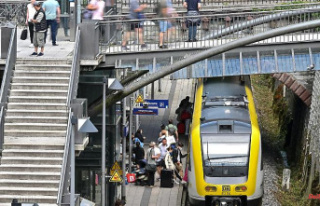 Baden-Württemberg: Full regional trains along tourist...