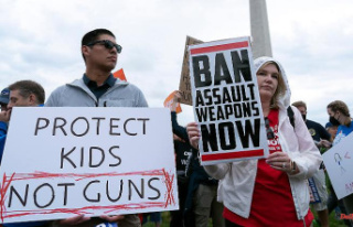 Senators agree: US gun laws should be slightly tightened