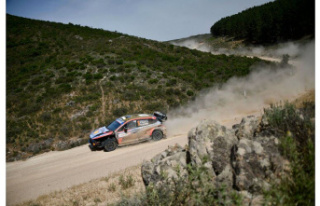 WRC. Rally Sardinia won by Ott Tanak