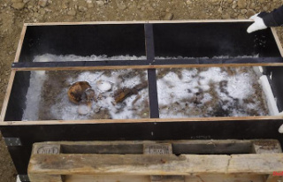 Resting place from the Middle Ages: Researchers unfreeze...
