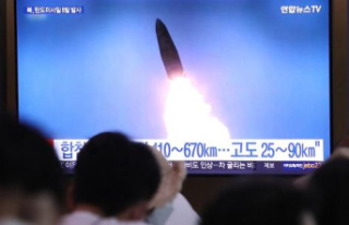 North Korea launches eight ballistic missiles