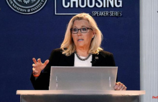 Criticism of her own party: Liz Cheney calls Trump...