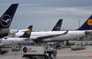 Staff chaos costs 3100 flights: Lufthansa does not...