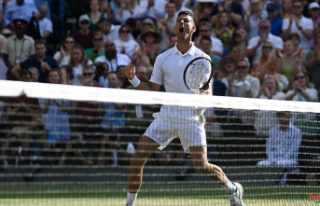 For the 32nd time in the Grand Slam final: Djokovic...