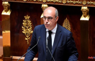 French MPs denounce double taxation for Franco-Americans
