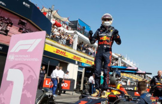 French GP: Verstappen flies away after Leclerc abandons