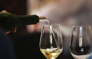 Expert recommends: Zero alcohol levels: These wines...