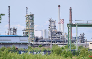 Rosneft plans for Schwedt: Kazakh oil could keep PCK...