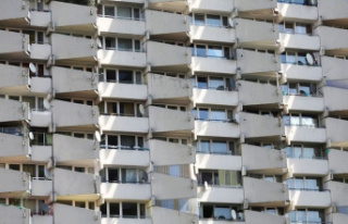Housing: housing benefit reform: SPD parliamentary...