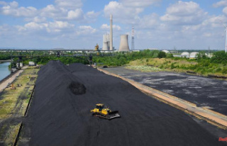 Reserve against lack of gas: Mehrum coal-fired power...