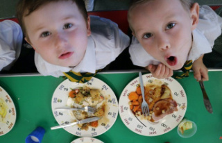 School dinners: As costs rise, no beef on the menu