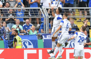 DFB-Pokal: Schalke and Sandhausen progress, Fürth,...
