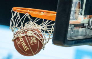 Basketball: Niners Chemnitz sign Shonn Miller