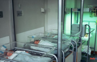 Italian mother gives birth to twins two months apart