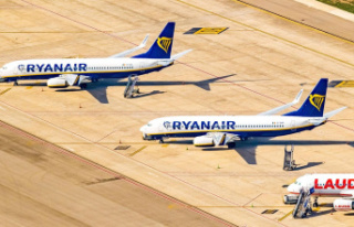 Holiday flights affected: Five more months: Ryanair...