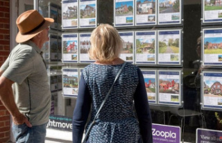 Record-breaking house prices defy all expectations