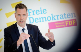 Threatening Zoff because of financial policy ?: FDP...