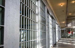 "Night of Horrors": US prison guards are...