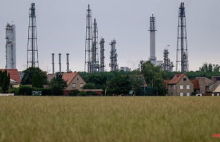 Saxony-Anhalt: Leuna chemical site still concerned...