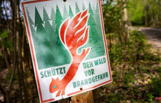 Hesse: High risk of forest fires in Hesse: Alert level...