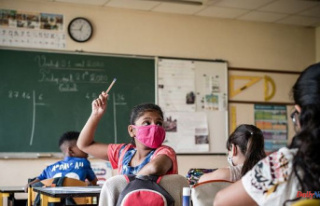Self-tests, masks ... What will change at school after...