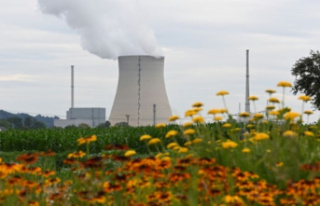 The FDP wants the three remaining nuclear power plants...